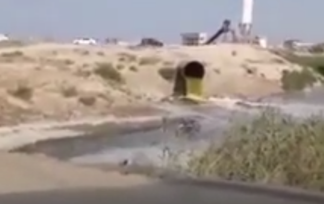 Bakıda çimərlikdə biabırçı mənzərə - Video