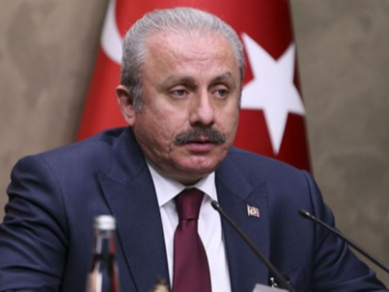 Türkiyə parlamentinin rəhbəri Türkiyə və Azərbaycanın birgə türk ordusunun yaradılması ilə bağlı danışıqlar aparıldı