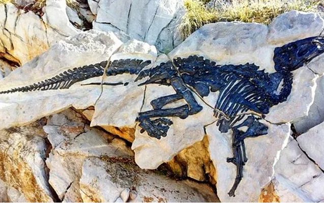 İlk dəfə dinozavr sürüsünün qalıqları tapıldı