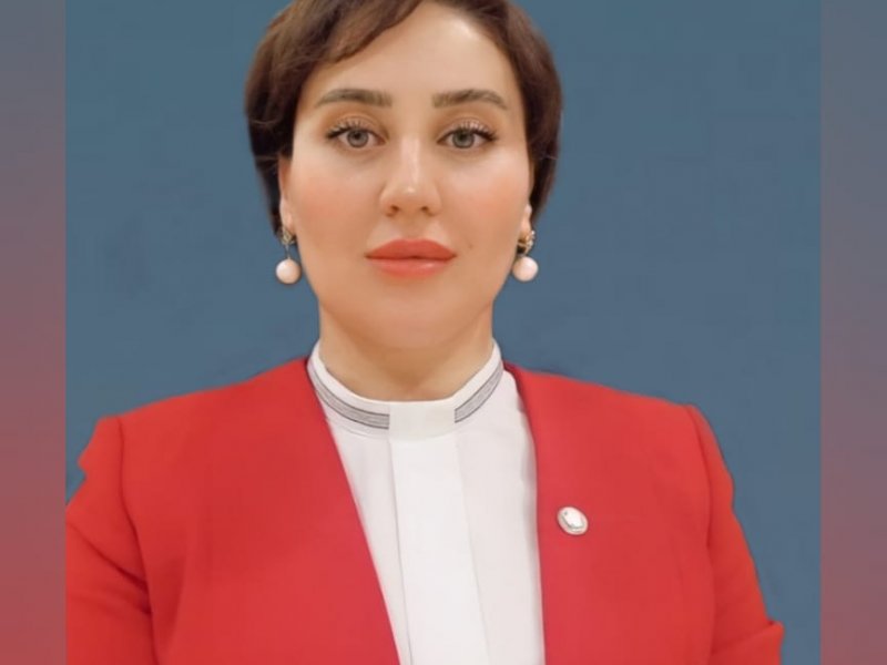 GƏNC RƏSSAM PREZİDENTƏ TƏBRİK MƏKTUBU GÖNDƏRDİ