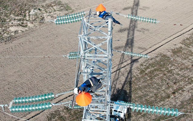 Quşların elektrik xətlərindən qorunması üçün yeni layihə - Video