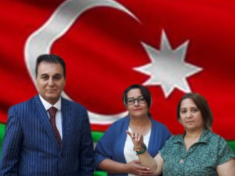 Diaspora fəalları ilə görüş.