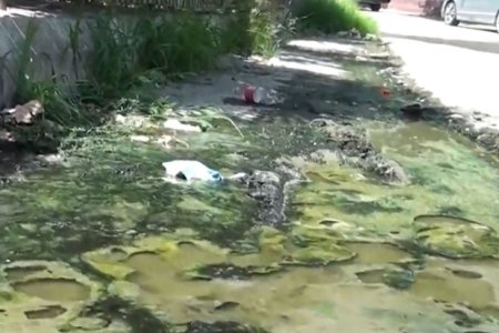 Bərdəni üfunət bürüyüb: Kanalizasiya suyu bir aydır küçəyə axır