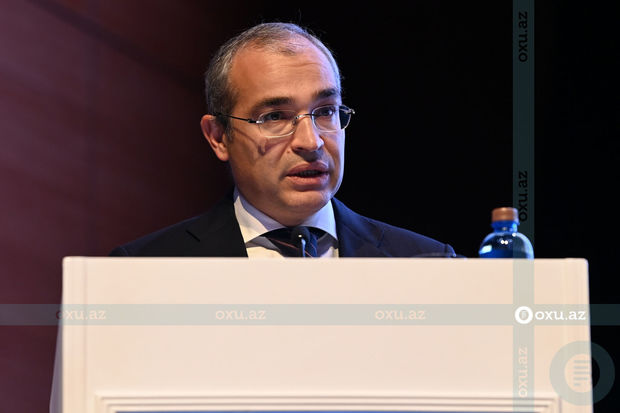 Mikayıl Cabbarov: “Sahibkarlara 90 milyon manatdan çox güzəştli kredit verilib” - FOTO