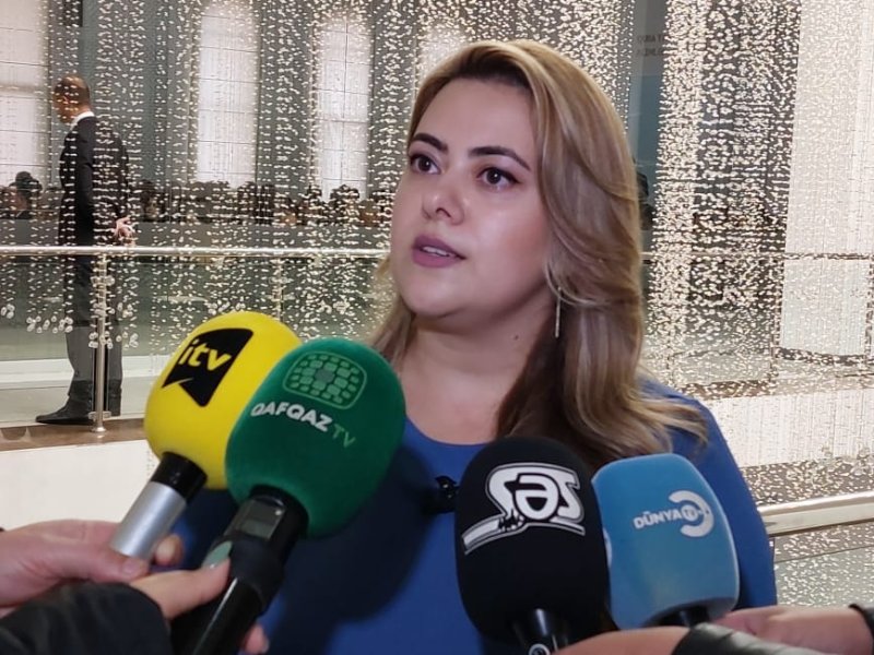 Azərbaycan enerji təhlükəsizliyində mühüm rol oynayır