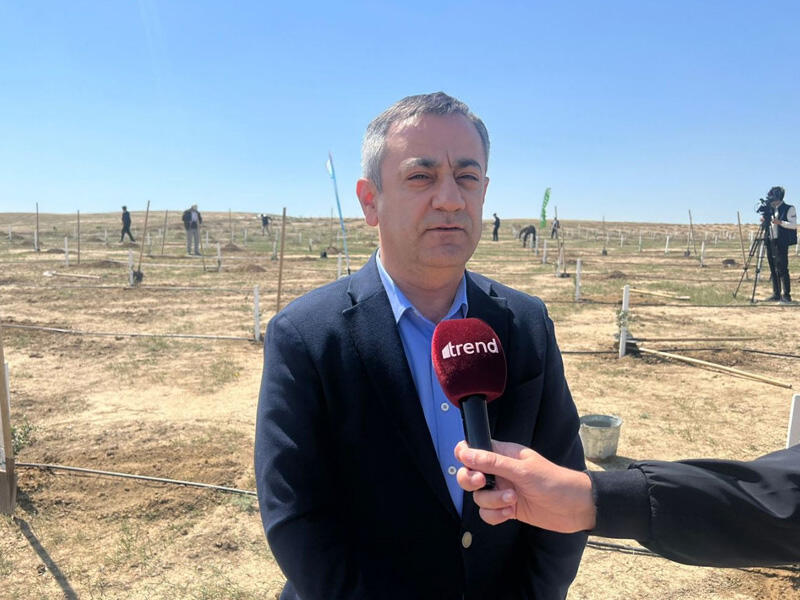 Ümummilli lider Heydər Əliyevin anadan olmasının 100 illiyi ilə bağlı ağacəkmə aksiyasında iştirak etmək qürurvericidir - Sahil Kərimli