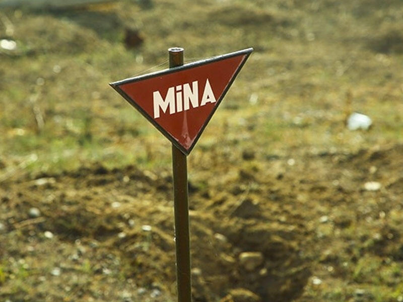 ANAMA-nın əməkdaşları Tərtərdə minaya düşdü - Ölənlər var 28 Aprel 2023 20:54Baxış: 195