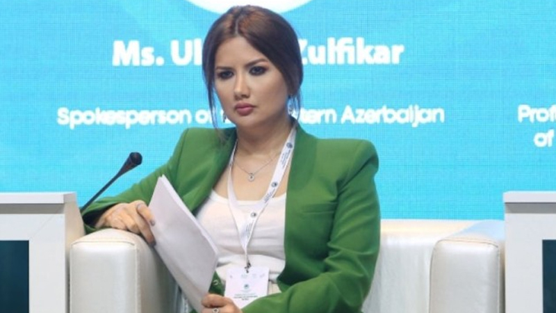 ​Ülviyyə Zülfiqar televiziya rəhbəri təyin olundu