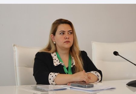 Azərbaycan-Gürcüstan münasibətləri strateji əhəmiyyət daşıyır