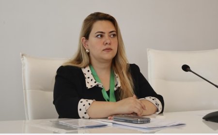 Macarıstan-Azərbaycan əlaqələri: birgə hədəflər və gələcək perspektivlər